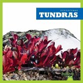 Tundras (Tundras)