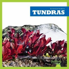 Tundras (Tundras) - Higgins, Nadia