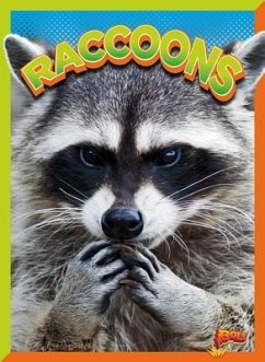 Raccoons - Terp, Gail