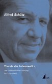 Theorie der Lebenswelt / Werkausgabe (ASW) (Serie »Verkehrspsyc, Tl.2