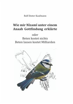 Wie mir Nîzamî unter einem Anaab Gottfindung erklärte - Kaufmann, Rolf Dieter