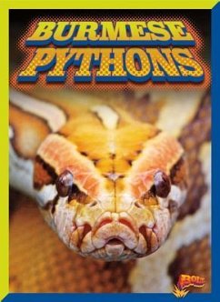 Burmese Pythons - Ciletti, Barbara
