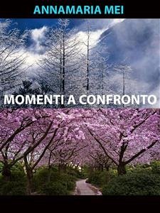 Cover Momenti a confronto (eBook, ePUB)