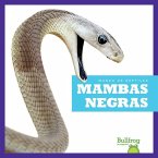 Mambas Negras (Black Mambas)