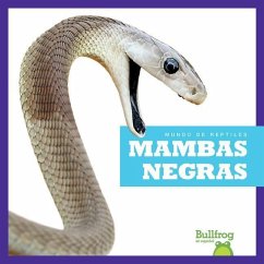 Mambas Negras (Black Mambas) - Kingsley, Imogen