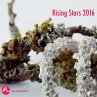Rising Stars 2016 - Bild 1