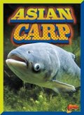 Asian Carp