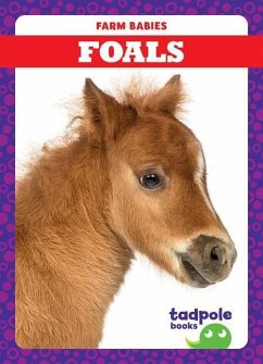 Foals - Mayerling, Tim