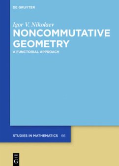 Noncommutative Geometry - Nikolaev, Igor V.