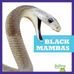 Black Mambas - Kingsley, Imogen