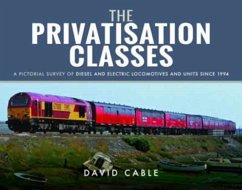 The Privatisation Classes - Cable, David