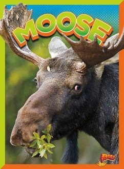 Moose - Terp, Gail