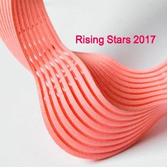 Rising Stars 2017 - New Ashgate Gallery