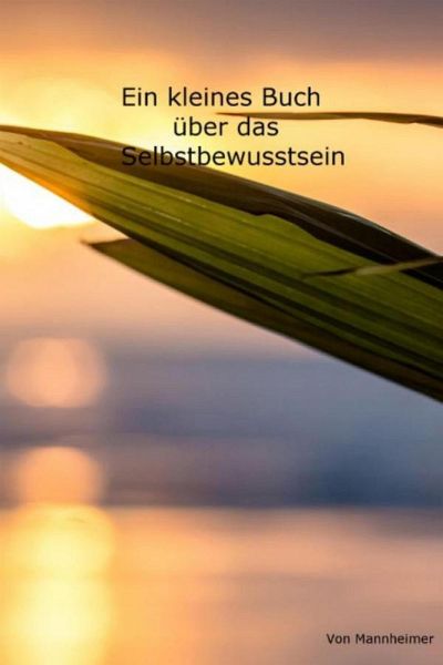 Ein kleines Buch über das Selbstbewusstsein (eBook, ePUB)