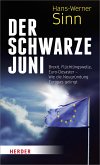 Der Schwarze Juni (eBook, PDF)