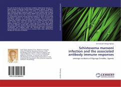 Schistosoma mansoni infection and the associated antibody immune responses