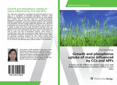 Growth and phosphorus uptake of maize influenced by CCs and APFs