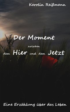 Der Moment zwischen dem Hier und dem Jetzt (eBook, ePUB) - Reißmann, Karolin