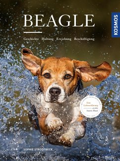 Beagle (eBook, PDF) - Strodtbeck, Sophie