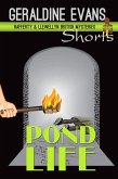 Pond Life - Short Story (Rafferty & Llewellyn Short Story) (eBook, ePUB)