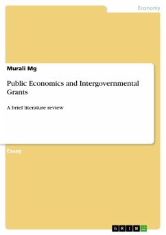 Public Economics and Intergovernmental Grants (eBook, ePUB)