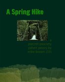 A Spring Hike (eBook, ePUB)
