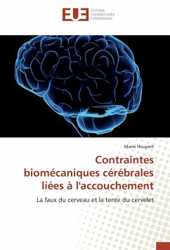 Cover Contraintes biomécaniques cérébrales liées à l'accouchement
