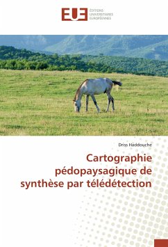 Cartographie pédopaysagique de synthèse par télédétection - Haddouche, Driss