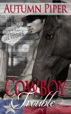Cowboy Trouble (Love n Trouble) (eBook, ePUB)