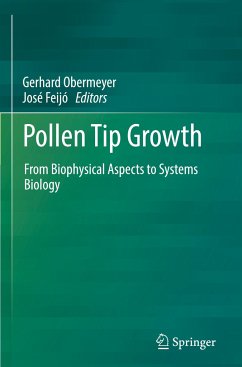 Pollen Tip Growth