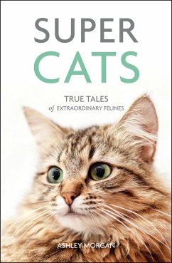 Cover Super Cats (eBook, ePUB)