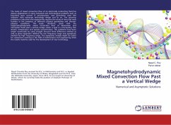 Magnetohydrodynamic Mixed Convection Flow Past a Vertical Wedge