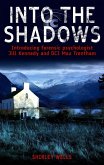 Into the Shadows (eBook, ePUB)