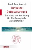 Indirekte Gotteserfahrung (eBook, PDF)