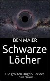 Schwarze Löcher (eBook, ePUB)