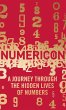 Numericon (eBook, ePUB) - Bild 1