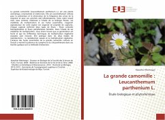 La grande camomille : Leucanthemum parthenium L. - Mechergui, Kaouther