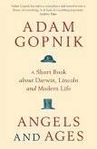 Angels and Ages (eBook, ePUB)