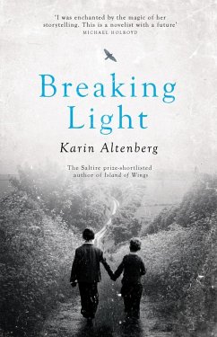 Cover Breaking Light (eBook, ePUB)
