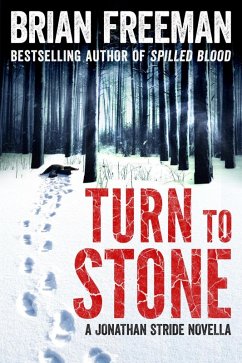 Cover Turn to Stone (eBook, ePUB)