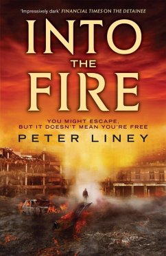 Into The Fire (eBook, ePUB) - Liney, Peter