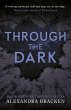 Through the Dark (eBook, ePUB) - Bild 1