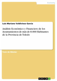 Análisis Económico y Financiero de los Ayuntamientos de más de 8.000 Habitantes de la Provincia de Toledo (eBook, ePUB)
