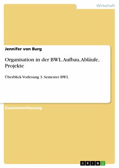 Organisation in der BWL. Aufbau, Abläufe, Projekte (eBook, ePUB)