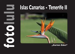 Islas Canarias - Tenerife II - fotolulu