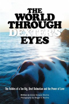 The World Through Dexter's Eyes