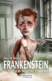 Frankenstein o el moderno Prometeo (eBook, ePUB)