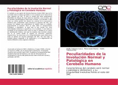 Peculiaridades de la Involución Normal y Patológica en Cerebelo Humano - Toledano Gasca, Adolfo;Álvarez, María Isabel;Toledano-Díaz, Adolfo