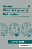 Brain Plasticity and Behavior