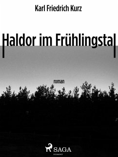 Haldor im Frühlingstal (eBook, ePUB) - Kurz, Karl Friedrich